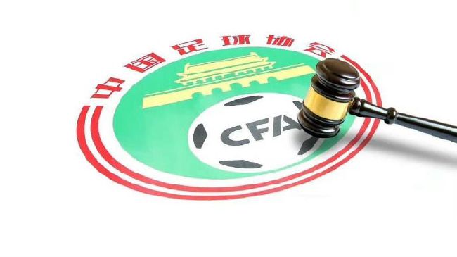 他们既为中国影迷带来了精彩的法国电影，也向法国介绍了中国文化，令中法电影领域的战略伙伴关系逐年稳固发展